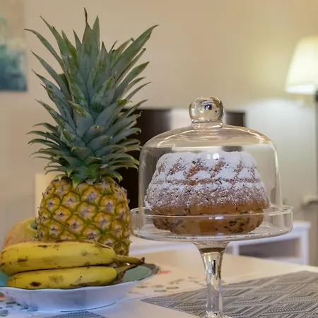 The Prickly Pear Apartment
